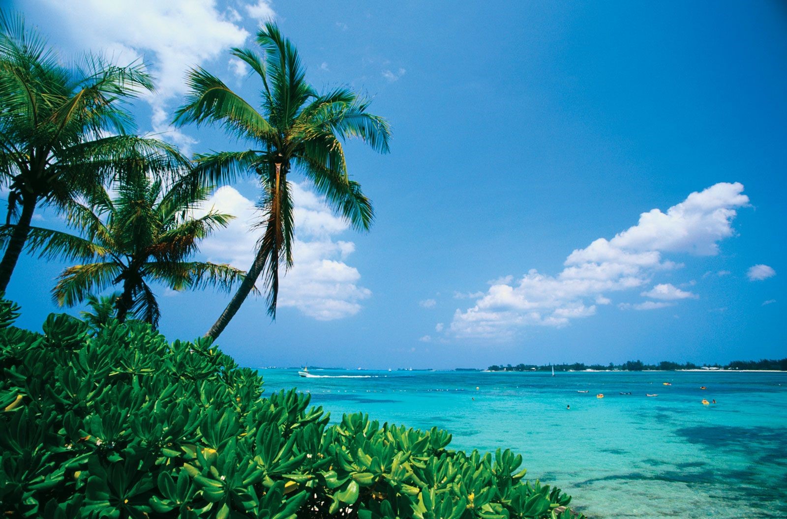 Bahamas Yacht Charter Seascape