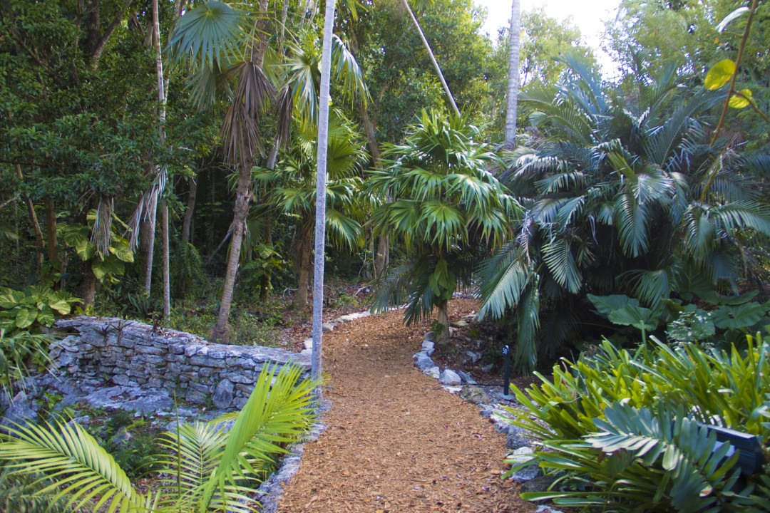 The Retreat Garden Nassau